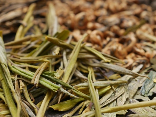 中国茶　緑茶　オススメ